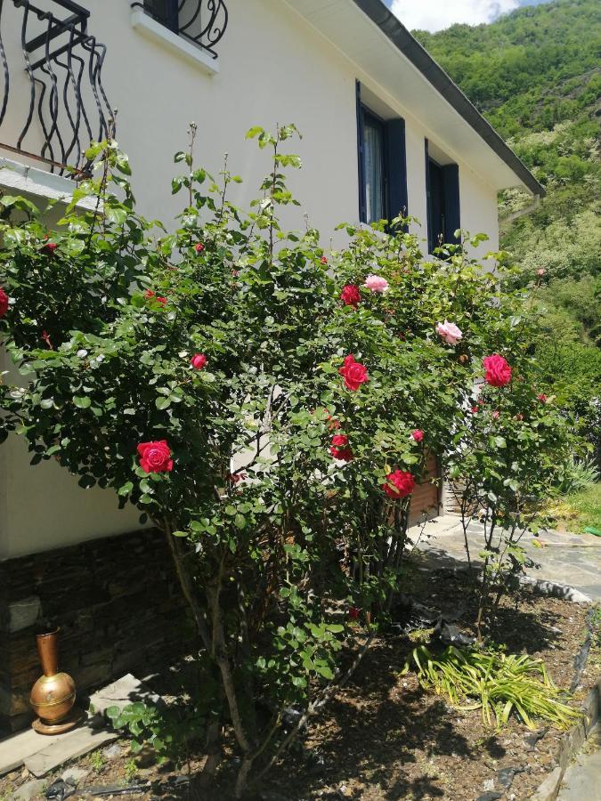 Les Rosiers Bed & Breakfast Bagnères-de-Luchon Dış mekan fotoğraf